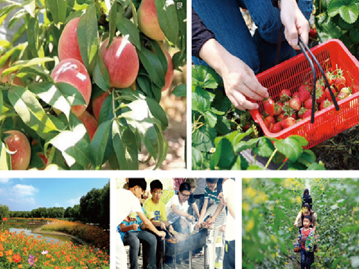 梅花洲团建基地